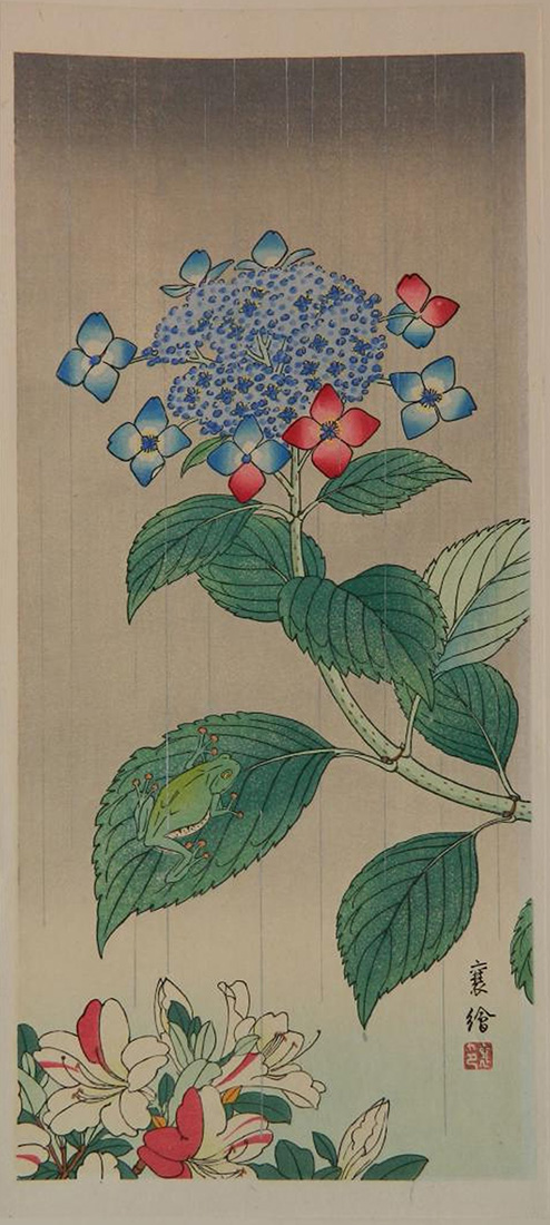 Hydrangea by Yuzuru Hashimoto Hydrangea by Yuzuru Hashimoto